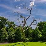 Limbs of Steel Artificial tree made of polished steel at Crystal Bridges Museum of American Art in Bentonville, Arkansas