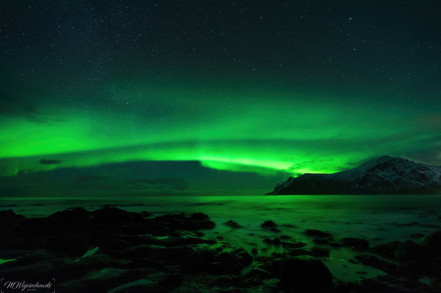 aurora in Lofoten
