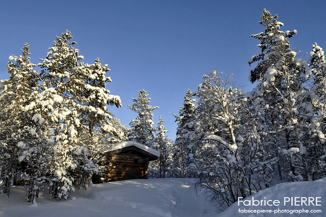 Lapland - February 2013