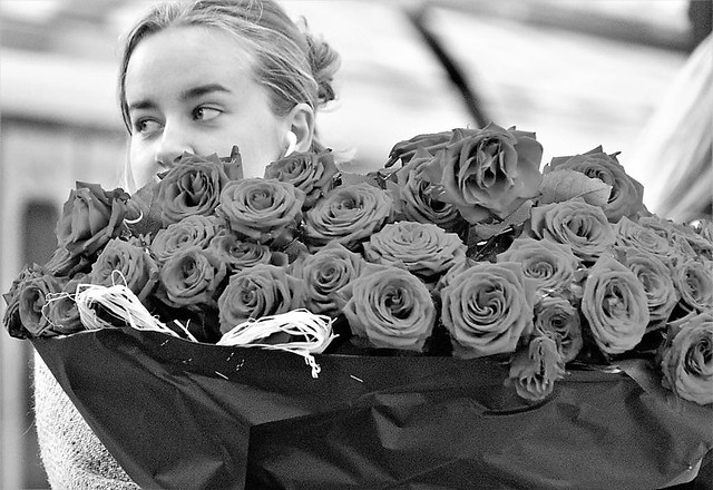 Covered By Roses