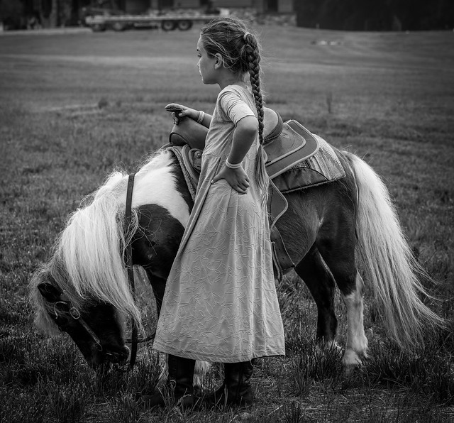 Amish Girl with Pony