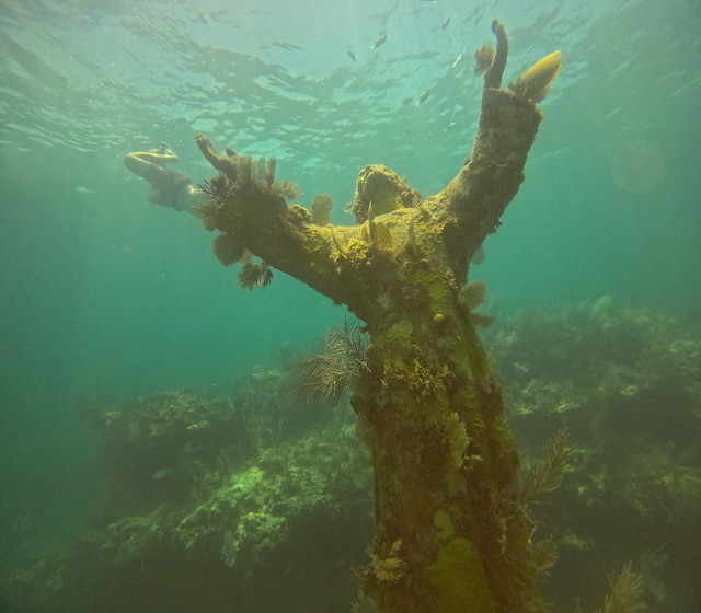 2023 JULY 8 PM Christ Statue Reef