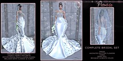 ⭐ Promise, Complete Bridal wedding Dress Set,All Included,Luna Chelsea
