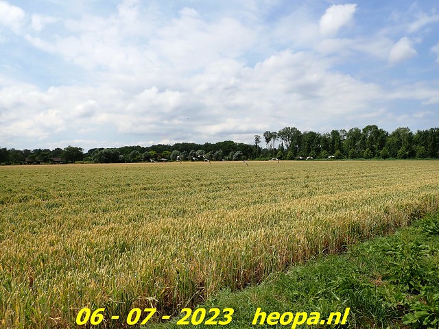 2023-07-06  Almere-parken Nr.02    (82)