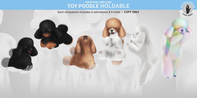 SEmotion Libellune Toy Poodle Holdable