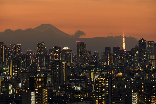 Tokyo Cityscape.