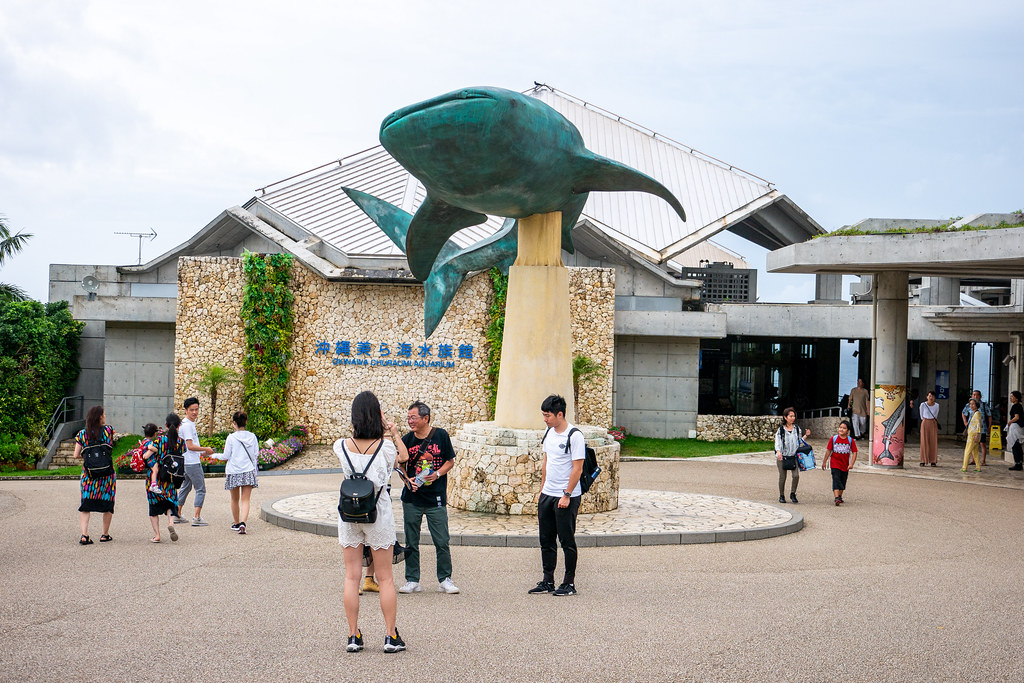 [日本]沖繩：海洋博公園～美麗海水族館、咖啡廳「Ocean 