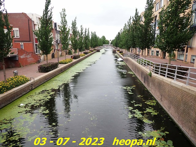 2023-07-03   Almere-parken tocht   (64)