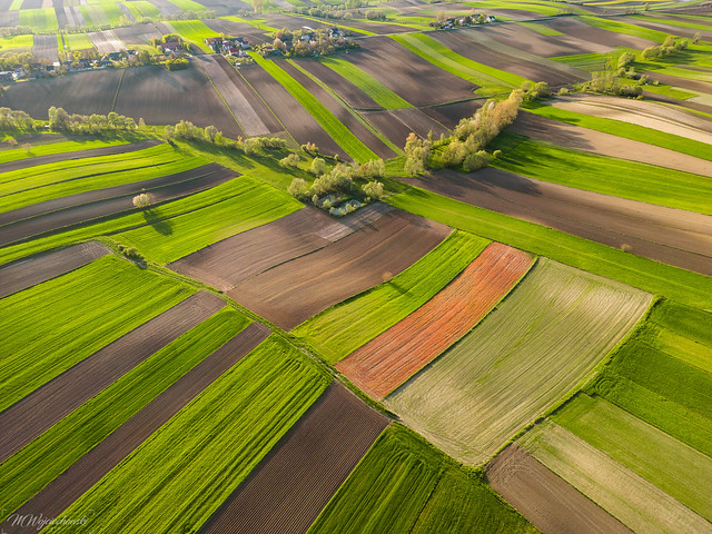 fields from the drone