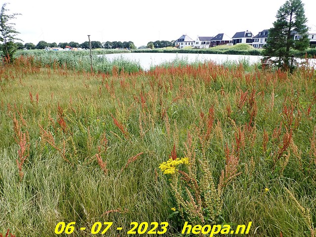 2023-07-06  Almere-parken Nr.02    (39)