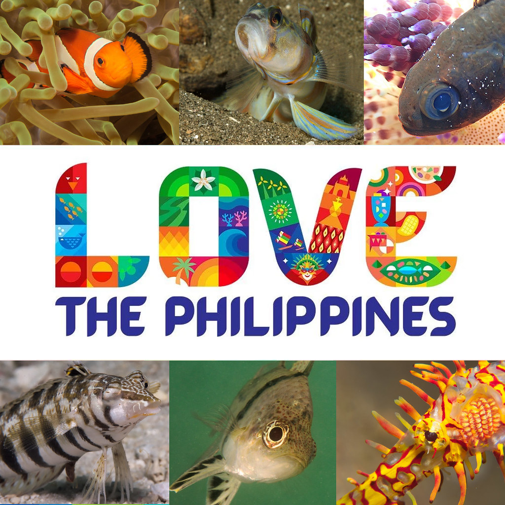 Love the Philippine Fishes