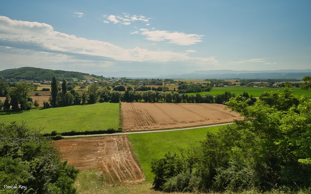 De Faramans, vue sur la vallée de Bièvre-Valloire.