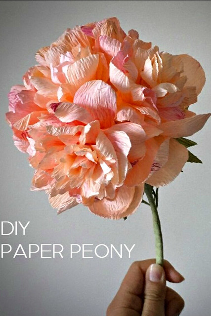DIY Crepe Paper Peony