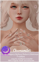 {Fantasy world} Chamomiles