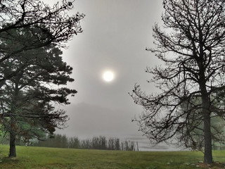 In the Morning Fog