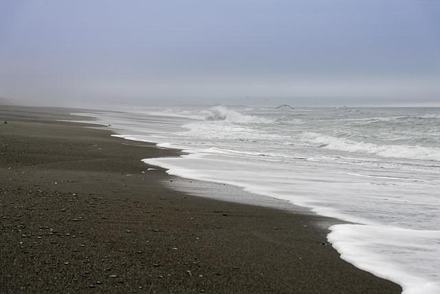 Taking in the Sight of a Pacific Coastline at Tolowa Dunes State Park
