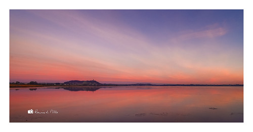 pink band stripe horizon sky strangford lough high tide reflections scrabo tower silhouette early morning colours comber newtownards county down northern ireland ronnielmills landscape photography
