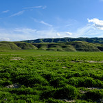 Elkhorn Plain, green from winter rains 