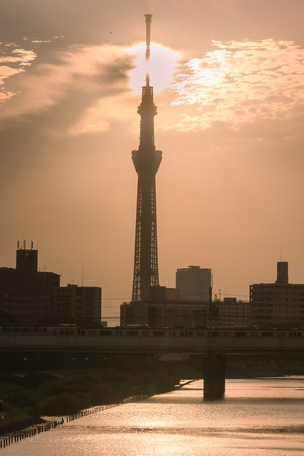 Tokyo Skytree Silhouette