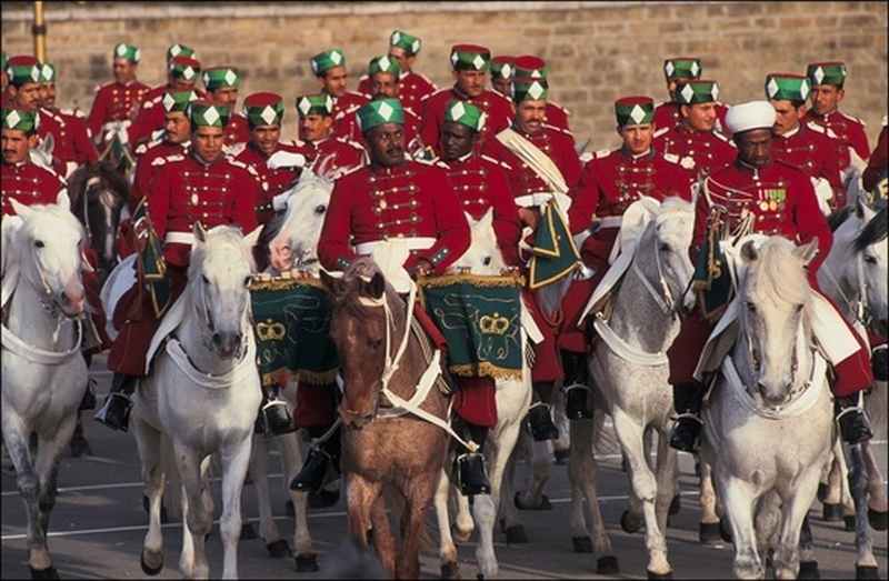 La Garde Royale Marocaine / Moroccan Royal Guard - Page 13 53032018157_bd5aee0764_o_d