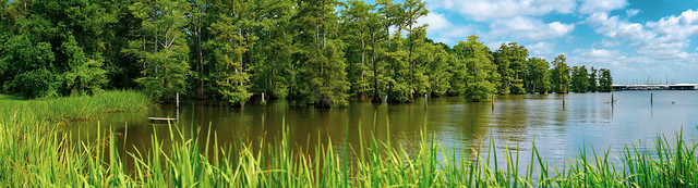 Lakeside in Louisiana