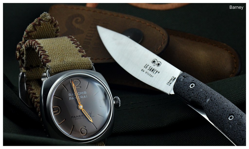 La Panerai du jour - Tome XI - Page 5 53033096852_47a85cae53_b