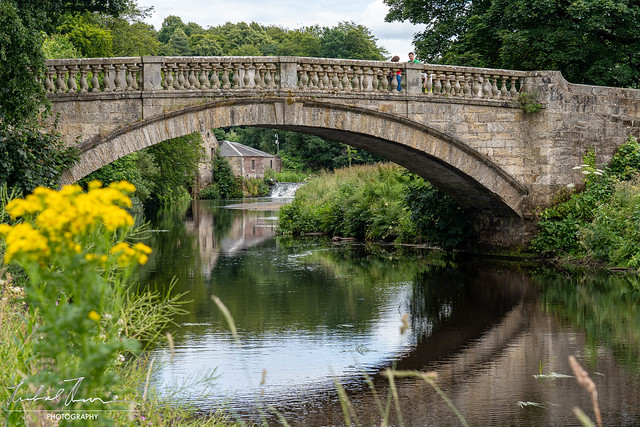 Bridge, Pollok County Park, Glasgow (4)
