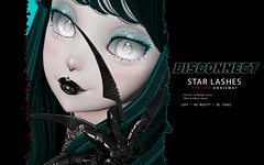 -Disconnect. Star Lashes