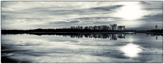 reflections in duotone