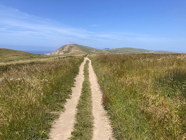 Follow the trail