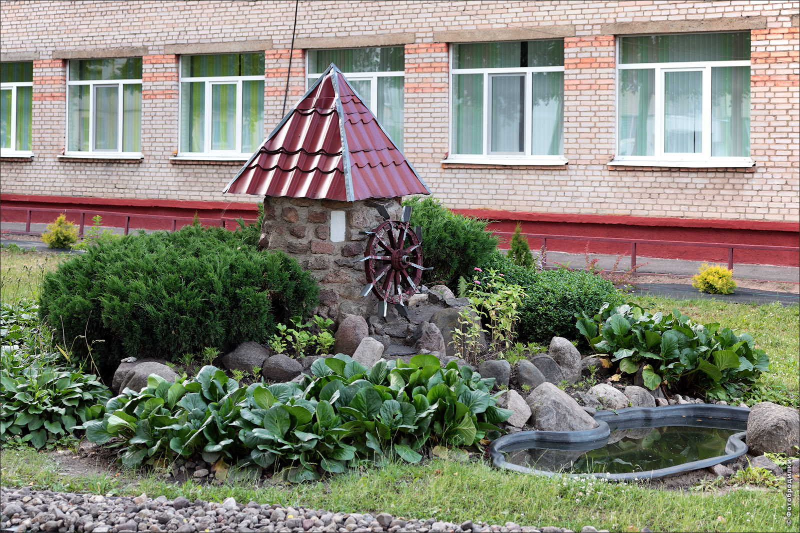 Клумба рядом со школой №16, Орша, Беларусь