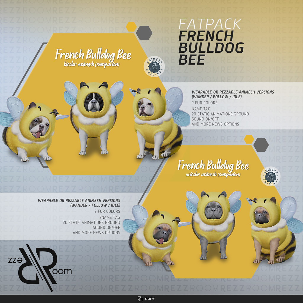 [Rezz Room] French Bulldog Bee