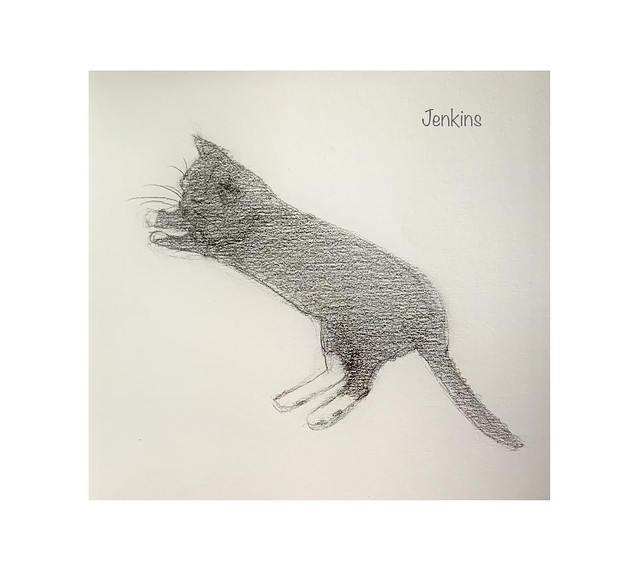 Graphite pencil sketch of “Jenkins the cat.”