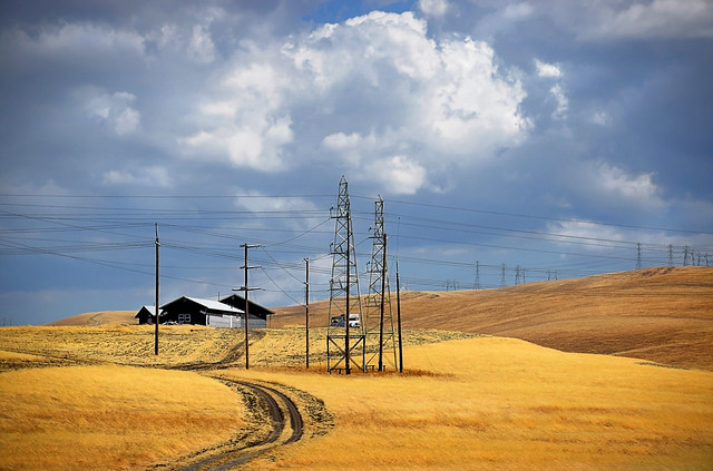 Golden hills and power lines