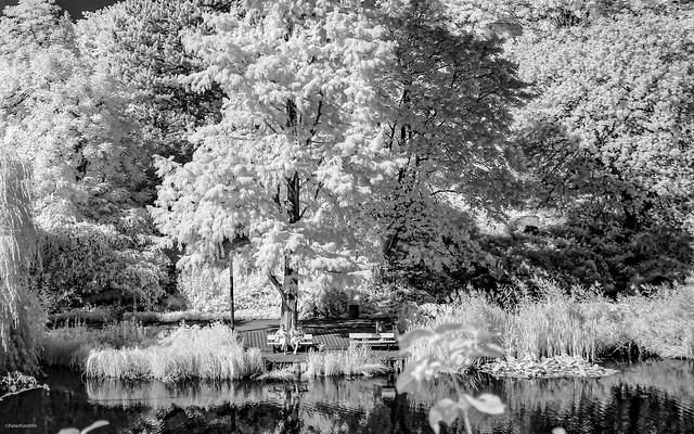 Hamburg - Planten un Blomen