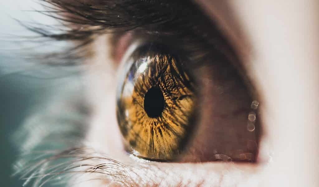 Une thérapie génique améliore la vision chez des daltoniens