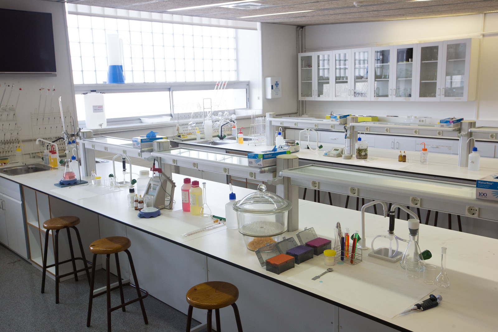 Lab. de Química i Bioquímica