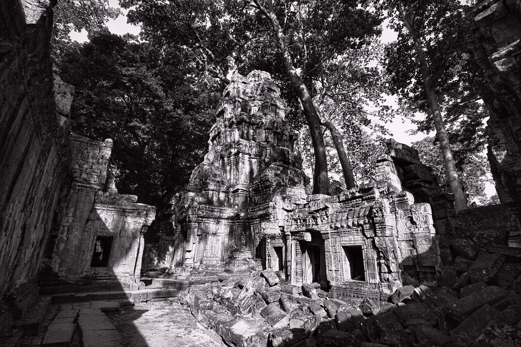 Siem Reap K - Ta Prohm 56