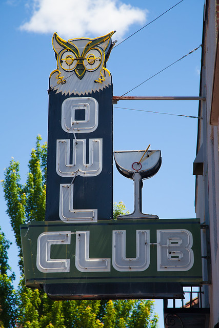 Owl Club