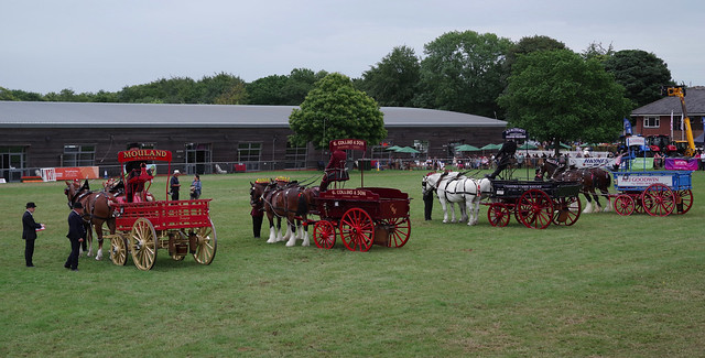 Heavy horse pairs and wagons, the judging. Kent County Show, Detling
