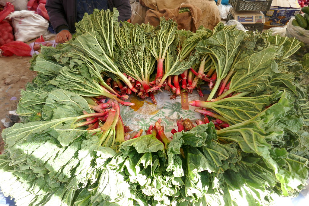 Rhubarbe sauvage pour l'apéritif, grand bazar, Urgut, province de Samarcande, Ouzbékistan.