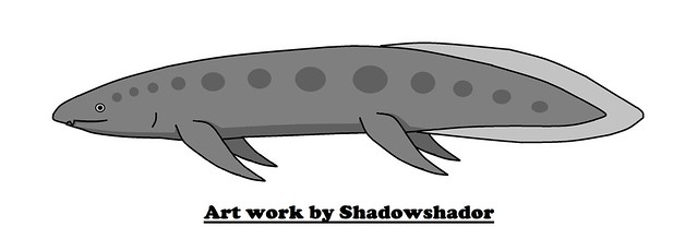 Extinct lungfish (Neoceratodus eyrensis†)