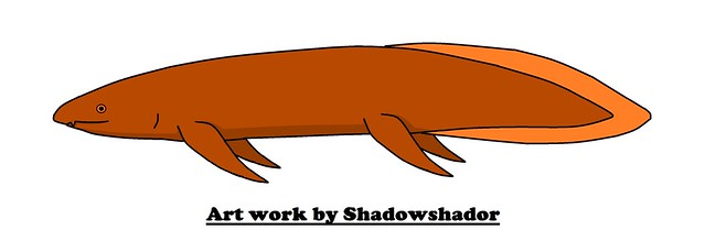 Extinct lungfish (Neoceratodus africanus†)