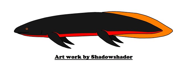 Extinct lungfish (Neoceratodus potkooroki†)