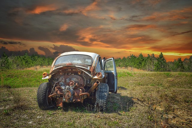 Beetle at Sunset