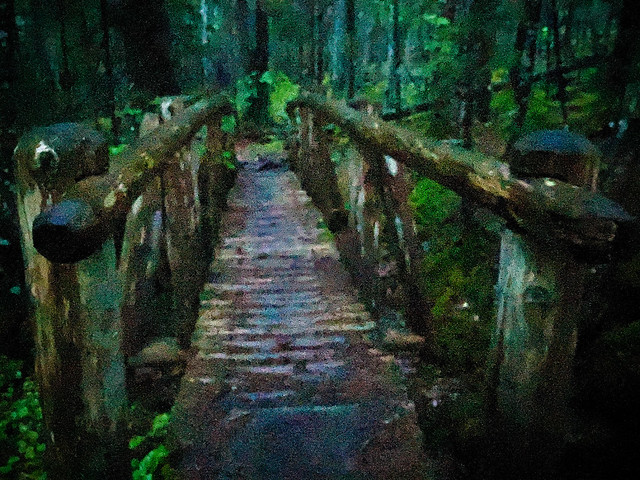mossy bridge
