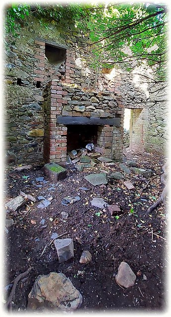 THE OLD FIREPLACE