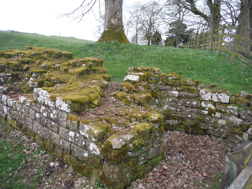 Pathside Corner of Birdoswald Roman Fort SWC Walk 413 - Hadrian's Wall Path Core Section (Lanercost to Halton Chesters)