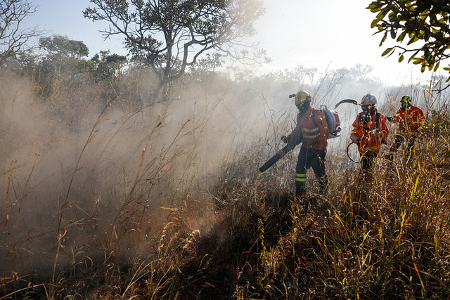 Bombeiros do DF têm capacitação contínua para combater incêndios florestais