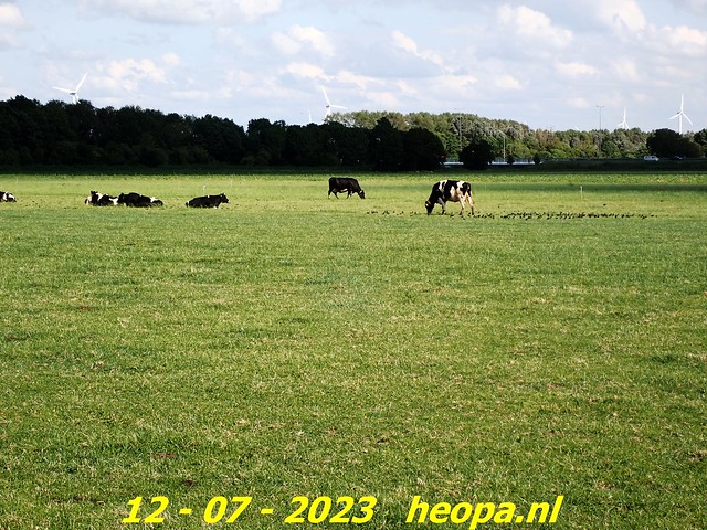 2023-07-12 Almere    Oostvaarders (67)